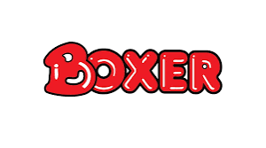 Boxer superstores Graduate Internships Programme